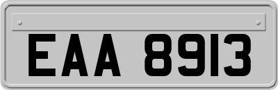 EAA8913
