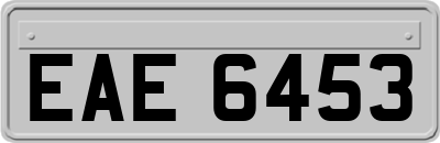 EAE6453