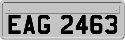 EAG2463