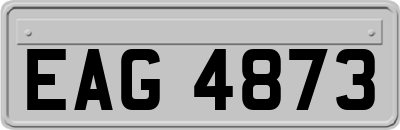 EAG4873