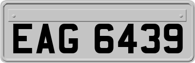 EAG6439