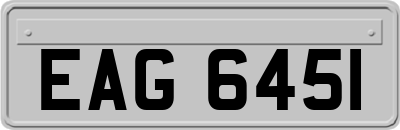 EAG6451