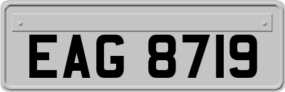 EAG8719