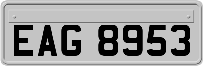 EAG8953