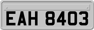 EAH8403