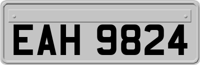 EAH9824