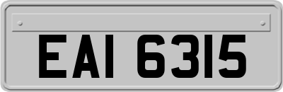 EAI6315