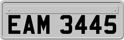 EAM3445