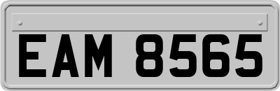 EAM8565