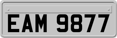 EAM9877