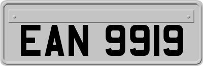 EAN9919