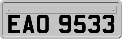 EAO9533