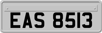 EAS8513