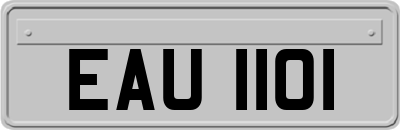 EAU1101