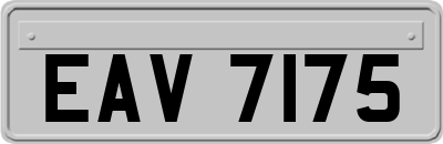 EAV7175