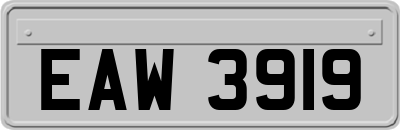 EAW3919