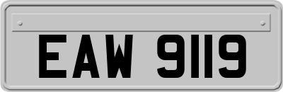 EAW9119