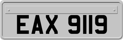 EAX9119