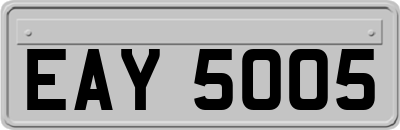 EAY5005