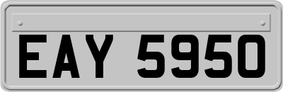 EAY5950