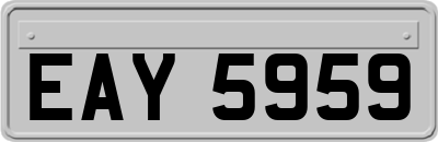 EAY5959
