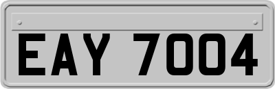 EAY7004