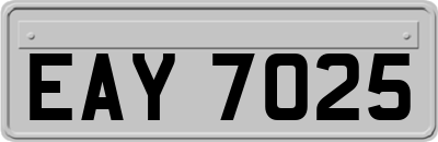 EAY7025