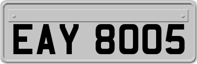 EAY8005