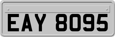 EAY8095