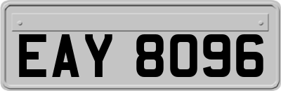 EAY8096