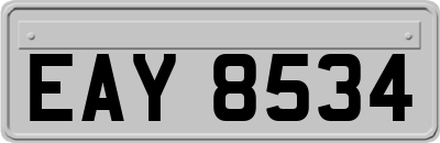 EAY8534