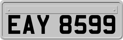 EAY8599