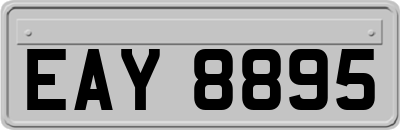 EAY8895
