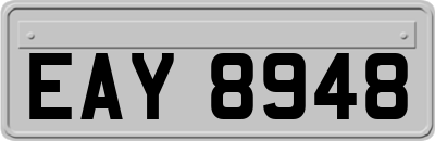 EAY8948