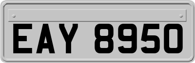 EAY8950