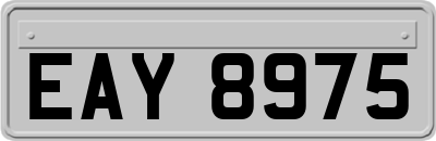 EAY8975