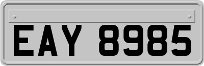EAY8985