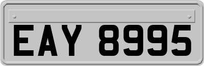 EAY8995