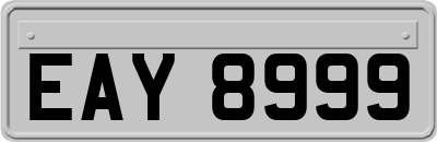 EAY8999