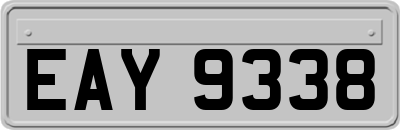 EAY9338