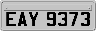 EAY9373