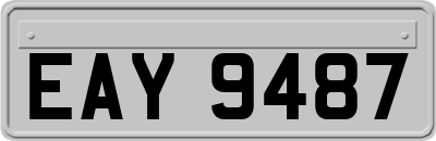 EAY9487