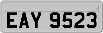 EAY9523