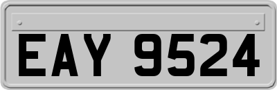 EAY9524