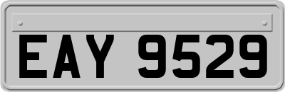 EAY9529