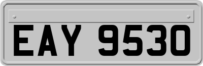EAY9530