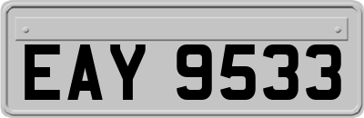 EAY9533