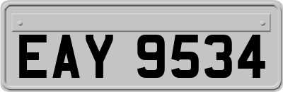 EAY9534