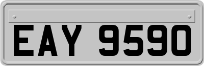 EAY9590