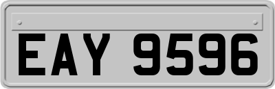 EAY9596